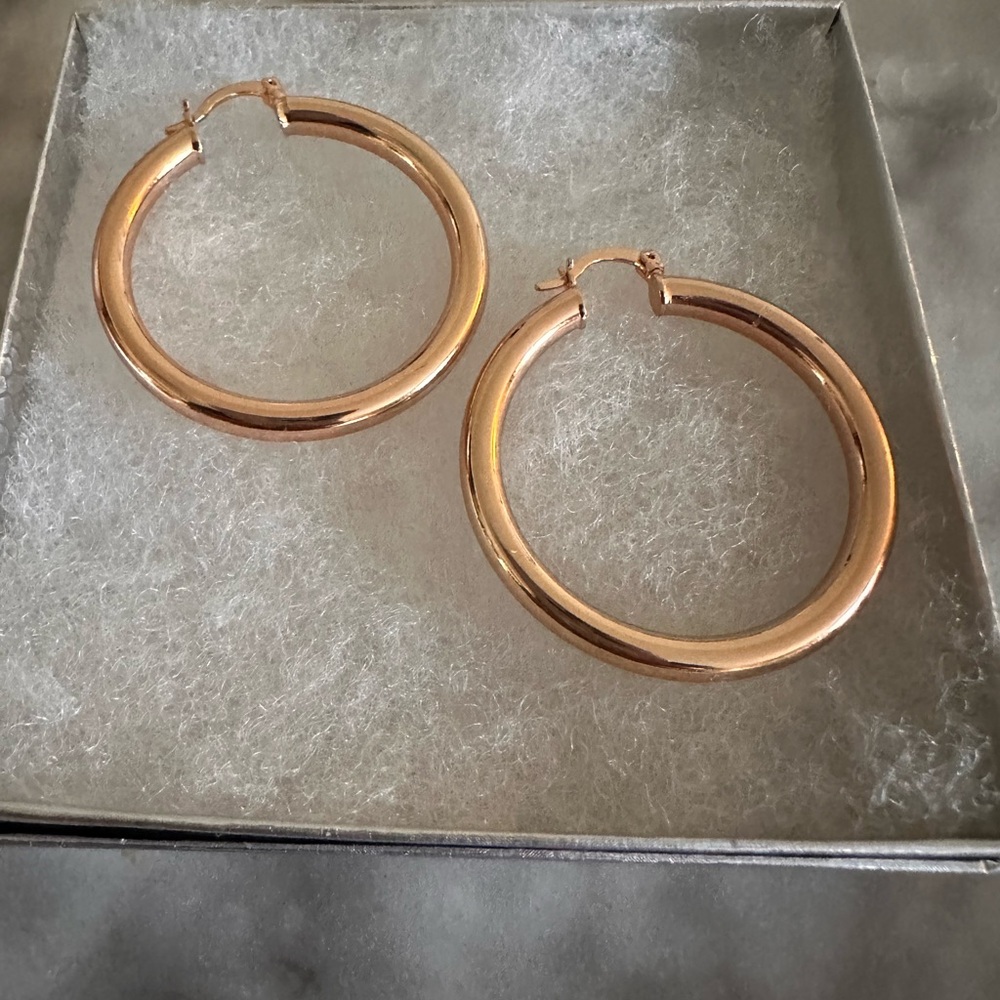 Elegant Rose Gold Hoop Earrings